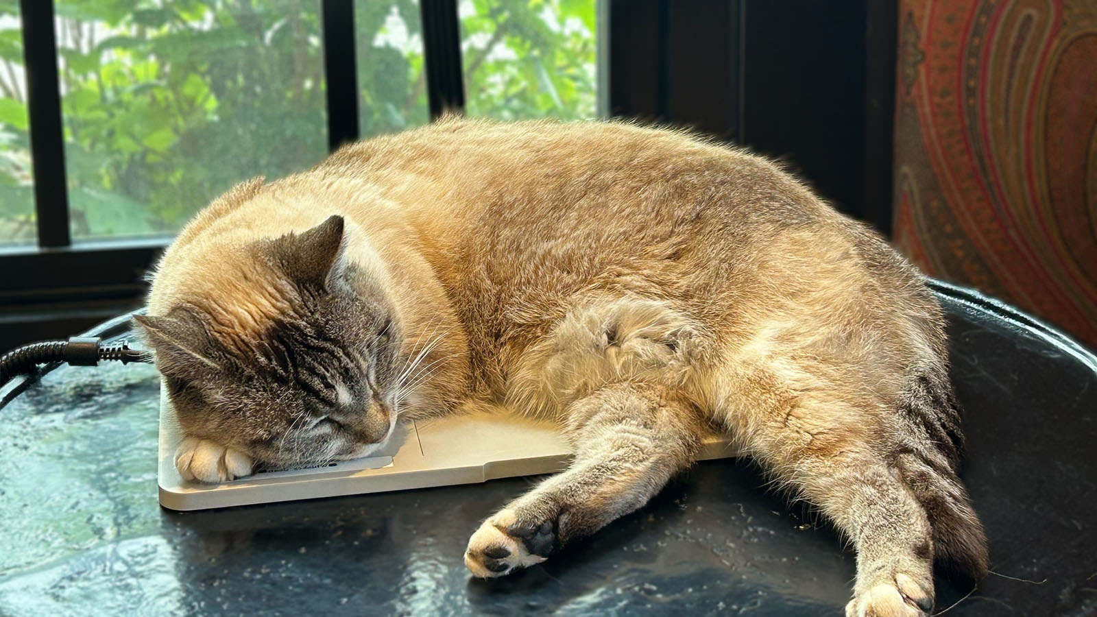 Whiskey Jean Samuels sleeping makers mark