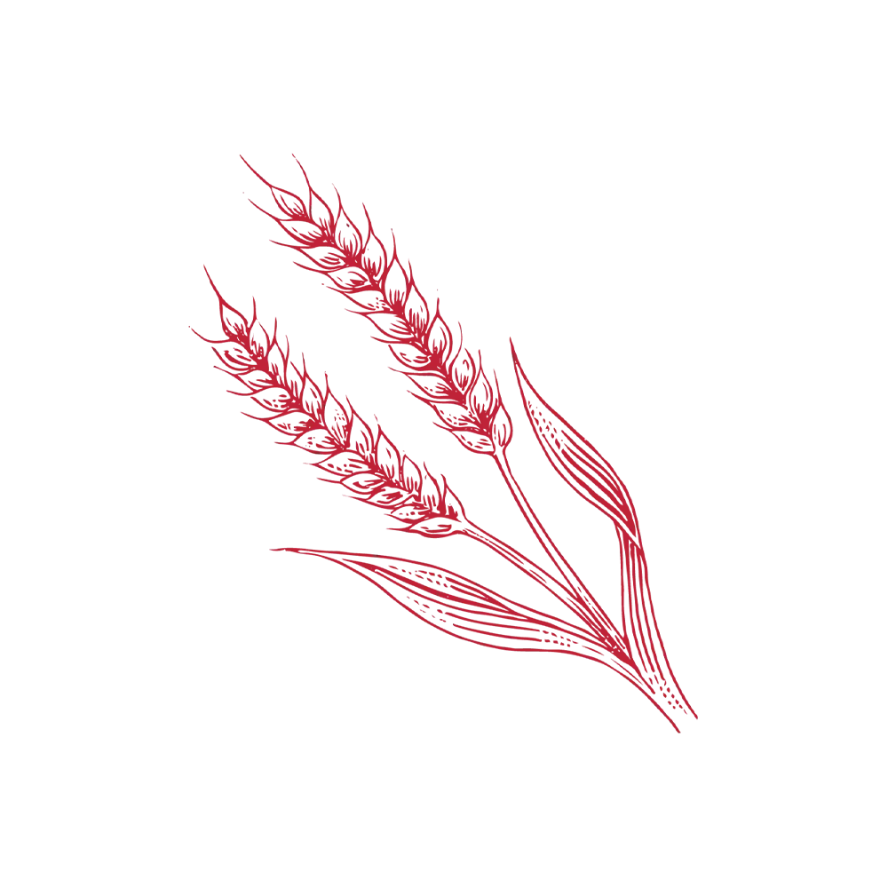 Maker’s Mark aroma