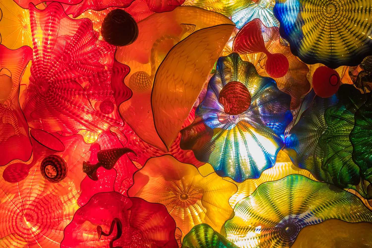 People Chihuly Exhibit