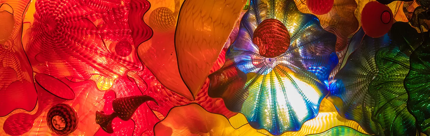 chihuly banner image