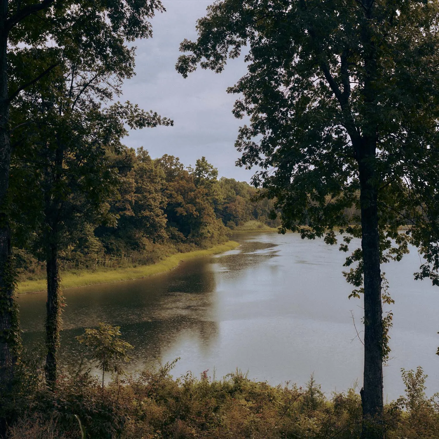 makers lake and trees