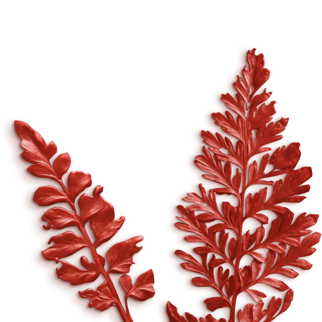 Flora