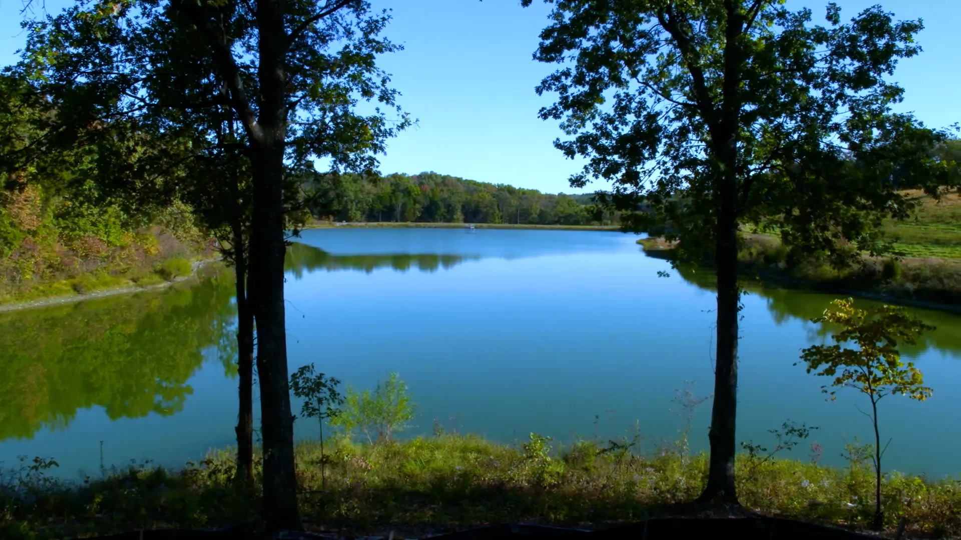 A blue lake on a sunny day surrounded by green banks of grass and trees. Three of the Maker's Mark distillery buildings in Loretto, Kentucky are in the distance.