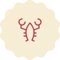 Red icon on a cream-colored background, representing a lobster.